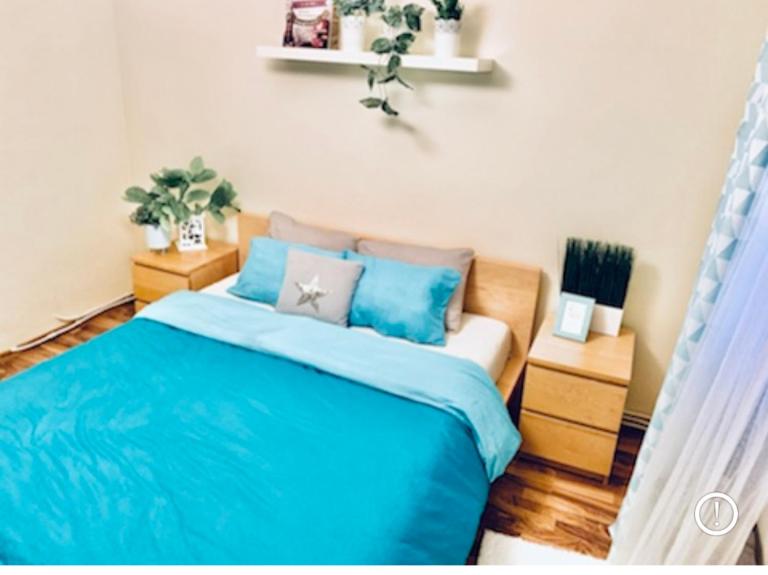 Middeltown rose - Ferienwohnung Alba Iulia