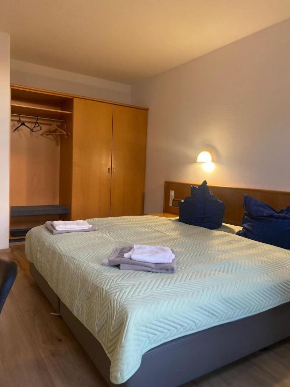 Pension am Main Ruhige Lage Zimmer mit eigenem Bad - B&B Albertshofen
