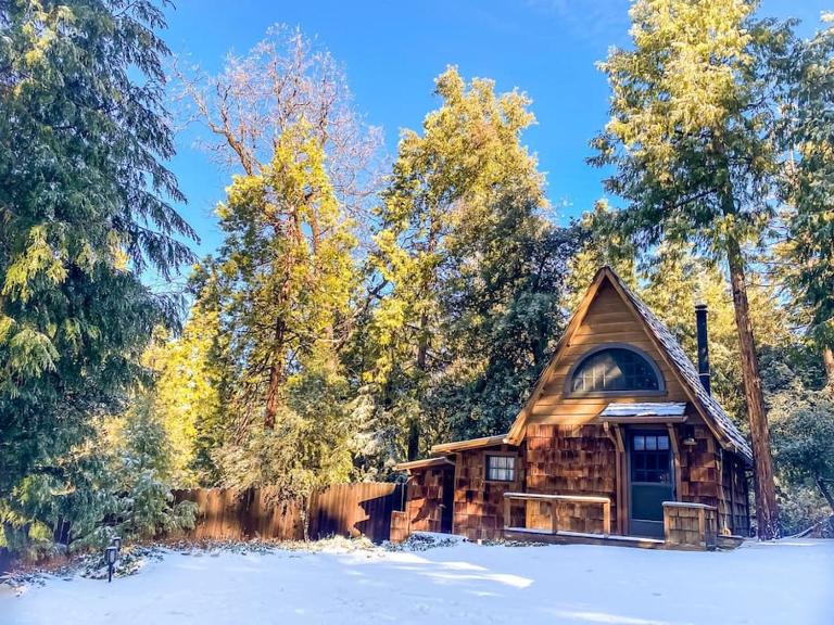 Wildland Zen Den Tiny House Retreat with Fireplace Grill AC Hammock Record Player Musical Instruments Pets OK - Bed and Breakfast Idyllwild