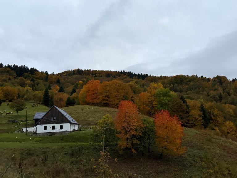 Dom Podgórze 23 - Chambres d'hôtes Duszniki-Zdrój