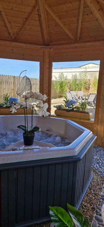 Yellow Stone Farm Lodge and Spa - Chambres d'hôtes Clonbrown