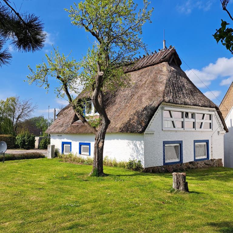 Ferienhaus Winne-Hus Winnemark - Ferienwohnung Winnemark