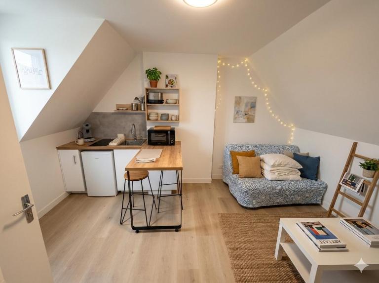 Petit cocon à Tours 2 min a pied de la gare de Tours - Bed and Breakfast Tours
