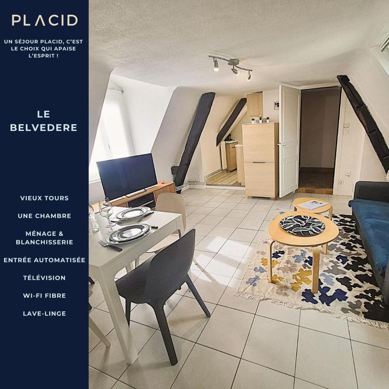 Le belvédère - Vieux Tours - Wifi - Smart TV - B&B Tours