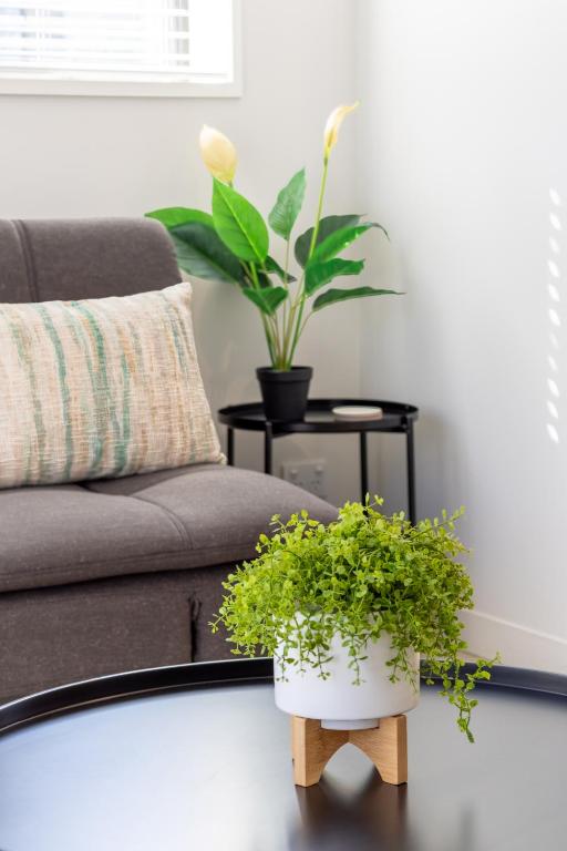 Stroll to the Stadium, 2-Bed with Private Carpark - B&B Christchurch
