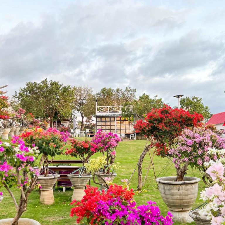 Casa de Myra - B&B Palayan