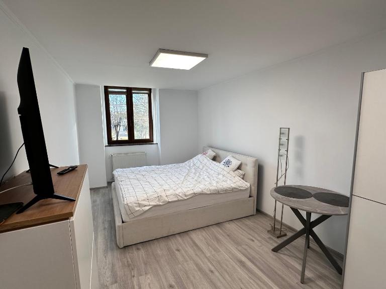 Arius apartament 5 - B&B Satu Mare