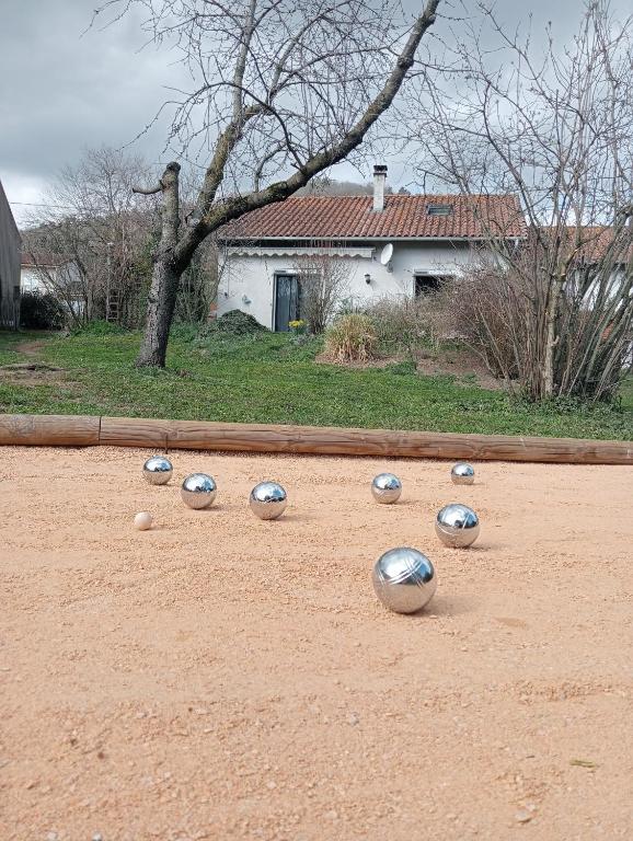La Cabane du Berger & son terrain de pétanque - Bed and Breakfast Torsiac