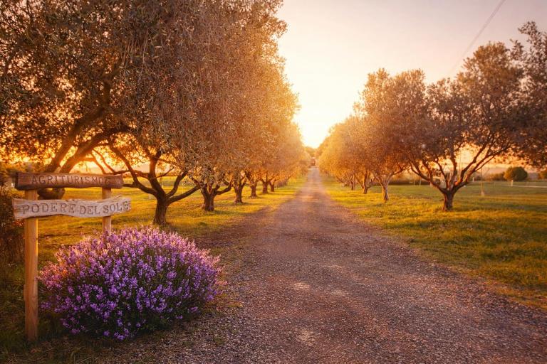 Agriturismo il Podere del Sole - B&B Pescia Romana