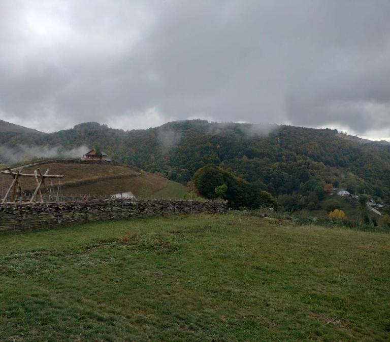 Cabana Antonia&Cristian - B&B Brădești
