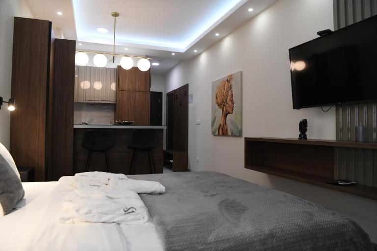 VS Exclusive Luxury Delux Studio with King Bed and Parking - B&B Vrnjačka Banja
