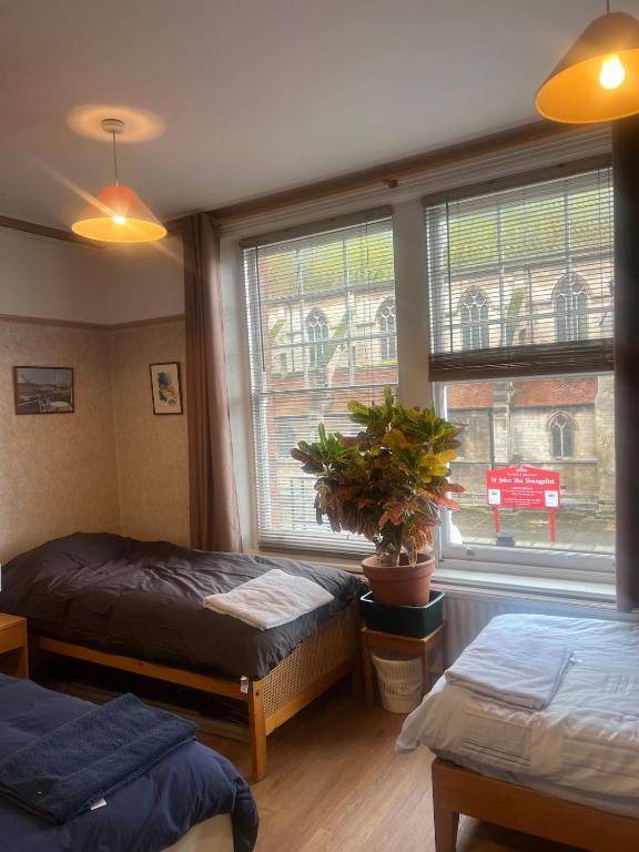 Quiet apartment 1 or 2 bedrooms Local Bus Train Tube - B&B New Southgate