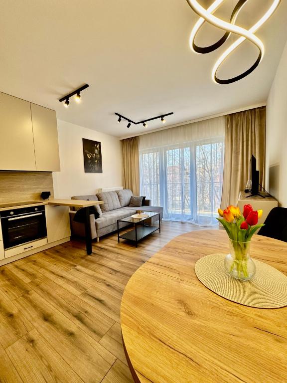 SILESIA PRIME Apartments BELG Przemysłowa Studio, Wi-fi, Garage - Chambres d'hôtes Katowice