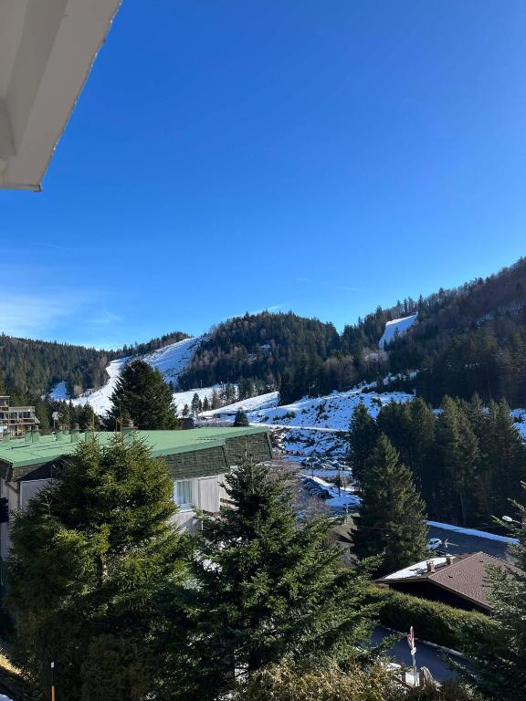 L'ourson B2 - B&B La Bresse