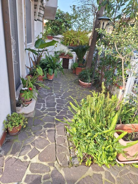 Casa Elisa - B&B Torre del Lago Puccini
