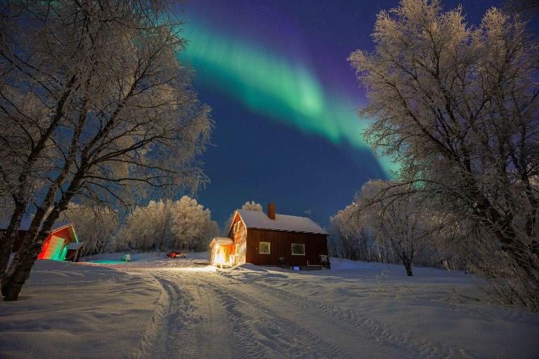 Aurora Lodge - Ferienwohnung Bjørnevatn