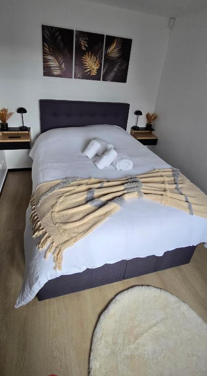 Studio Albert 1er - B&B Oye-Plage