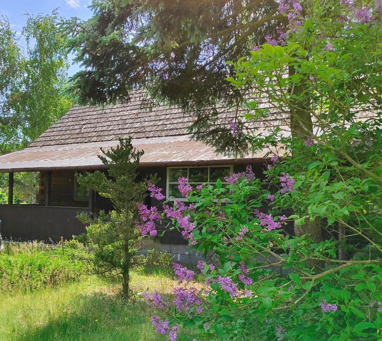 Chaty Sielanka - Bed and Breakfast Junoszyno