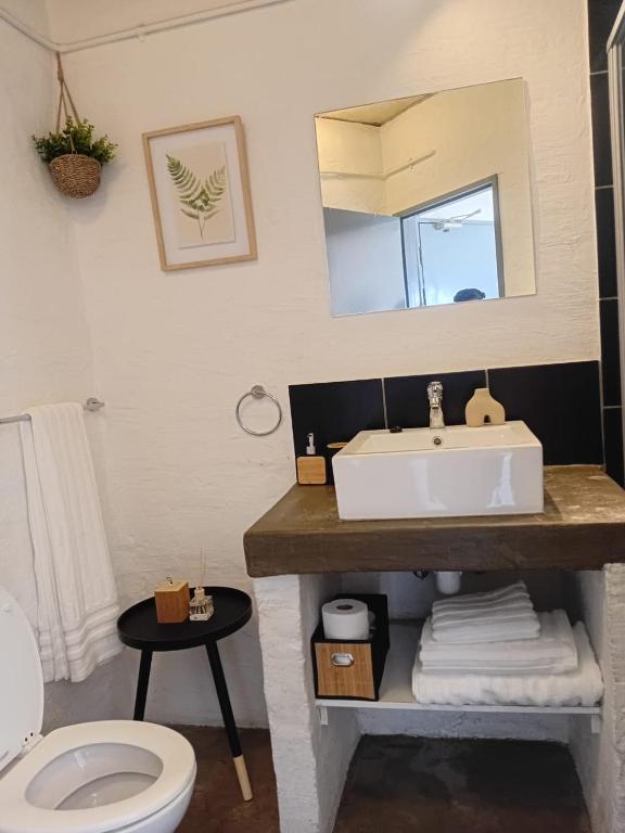 Cozy Urban Oasis - Ferienwohnung Johannesburg