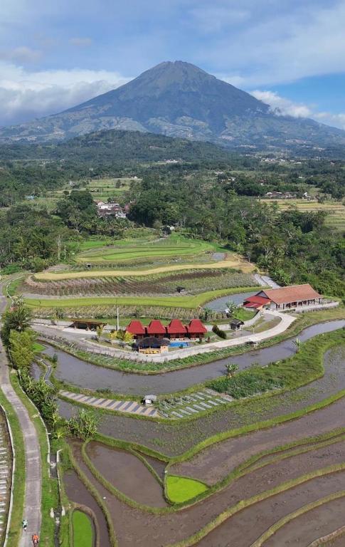 Katah Montana Villa - B&B Tonoboyo