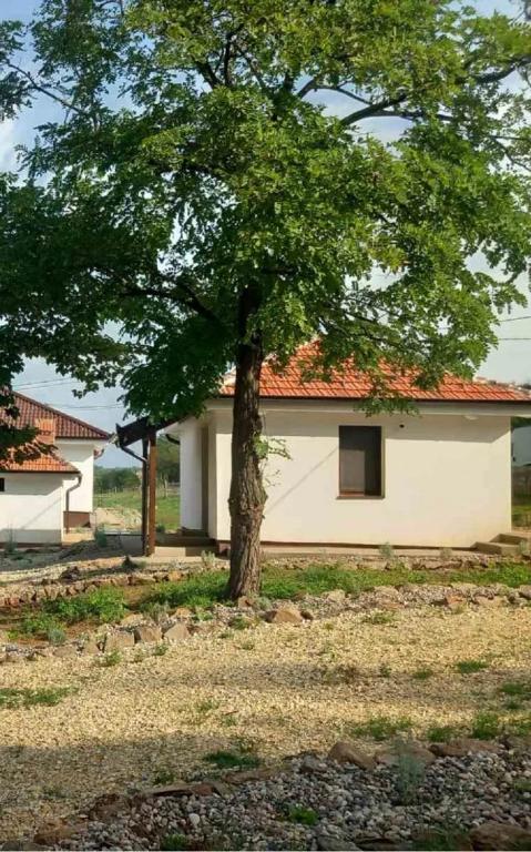 Etno Vila Ognjilo - Bed and Breakfast Kragujevac