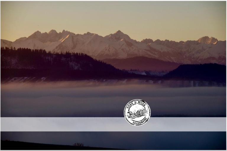 KOZA U WOZA - drewniany dom premium z widokiem na Tatry ecoSPA strefa fitness ZIELONA FARMA healinggarden - slowTRAVEL 24h self check-in - B&B Szlembark