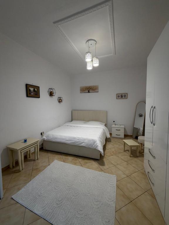 Cozzy Studio Tirana - B&B Tirana