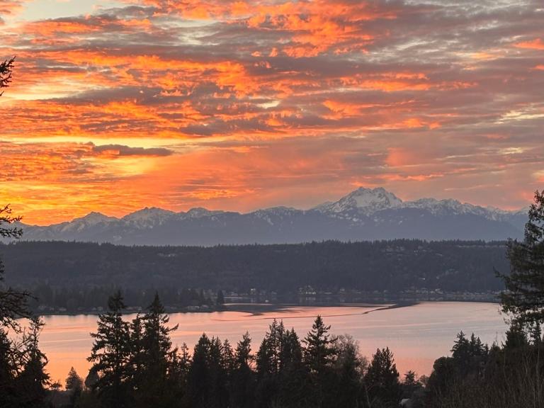 Water & Mountain Views - Family & Pet Friendly - B&B Bremerton