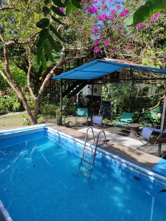 Papaya Wildlife Lodge - B&B Cahuita