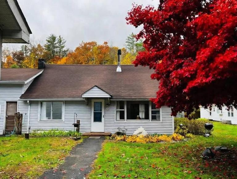 Catskills Quaint Cottage with Peloton Minutes from Hiking - Ferienwohnung Mount Tremper
