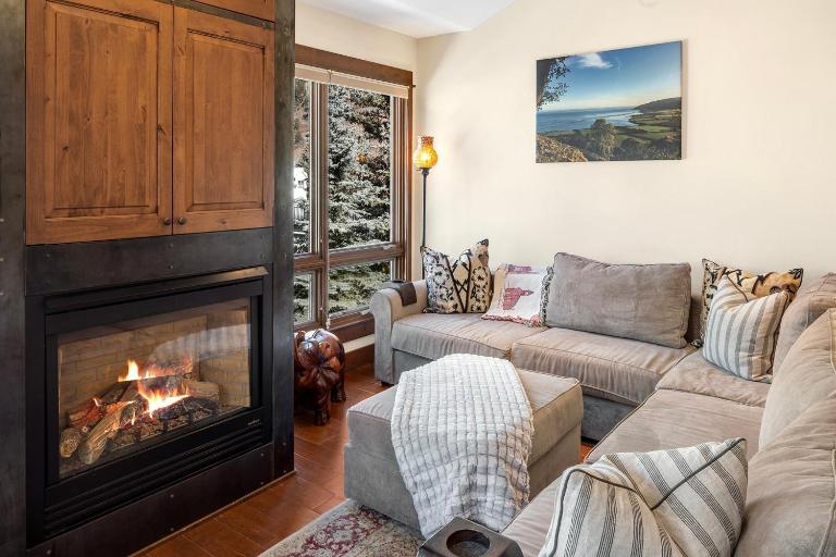 Walk to Festivals! Windows, Fireplace, Hot Tub condo - B&B Telluride