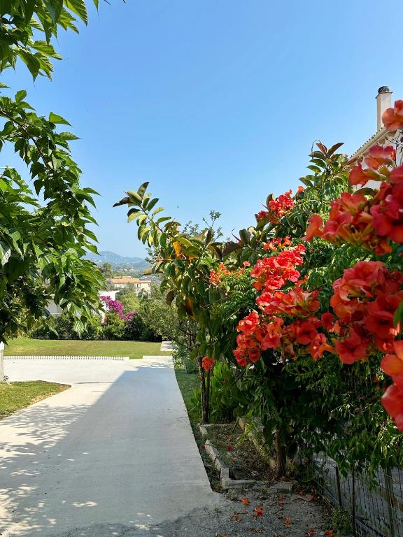 Katerina's Apartments - B&B Agios Stéfanos Avliotón