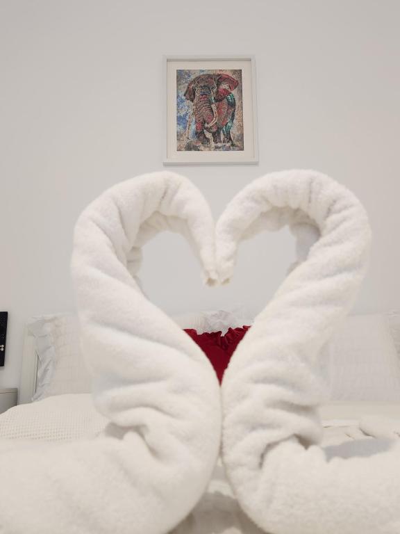 New apartment near UVVG and hospital,self check in non-stop,privacy! - Bed and Breakfast Arad