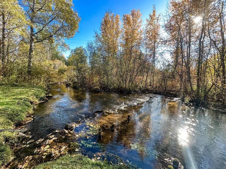 Cedar River Home Pet Friendly - B&B Harrison
