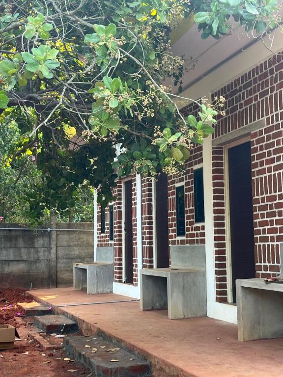 Junction Box Forest Hostel - B&B Auroville