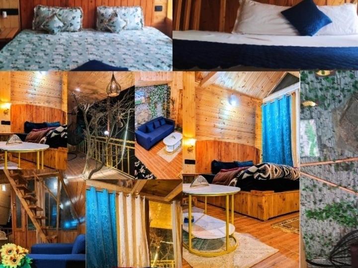 Kaasht Kunj Tree House - B&B Jābo