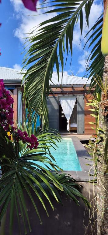 Villa 1Mille Sabords à Marie-Galante vue mer avec piscine - B&B Grand-Bourg