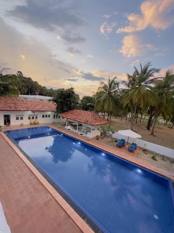 Blue Kite Retreat - B&B Kalpitiya