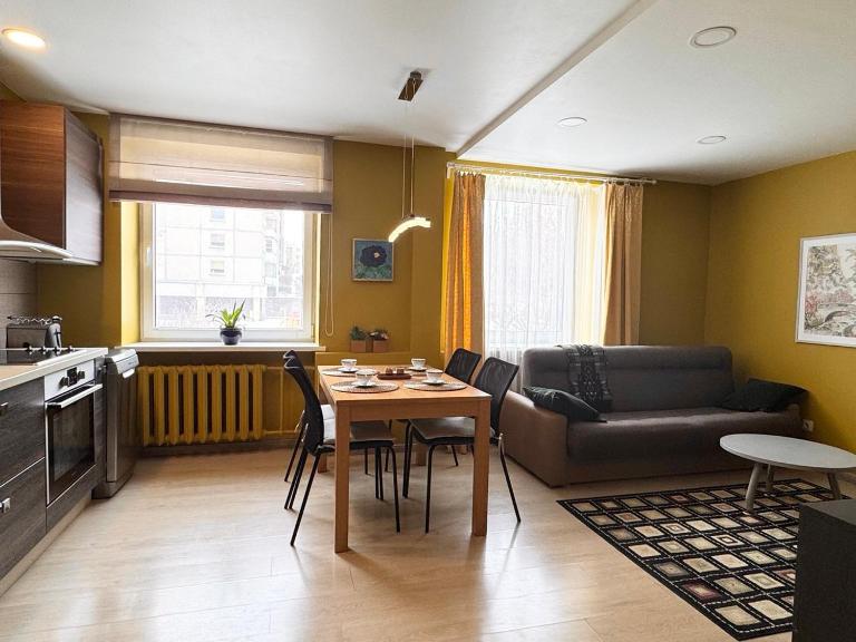 Artist's Apartment - Near City Center - B&B Vilna