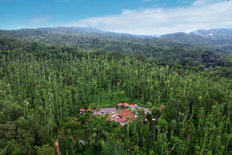 Jungle Greens Homestay - 150Y Old Coffee Estate, Home Food, Jungle Safari - Bed and Breakfast Chikmagalūr