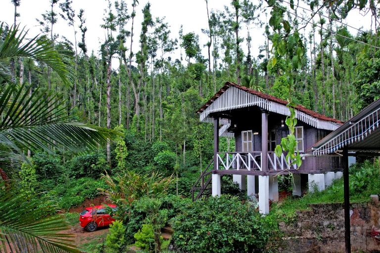 Jungle Greens Homestay - 150Y Old Coffee Estate, Home Food, Jungle Safari - B&B Chikkamagaluru