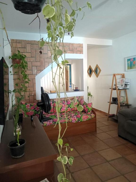 KaDinizHouse - B&B Caraguatatuba