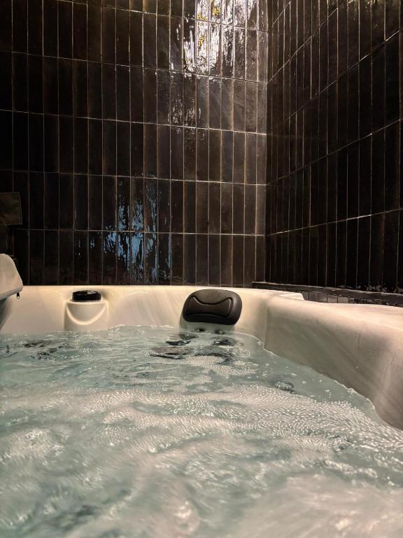 Hydra Haven l Sauna & Jacuzzi l Luxury Wellness Loft - Bed and Breakfast Katowice