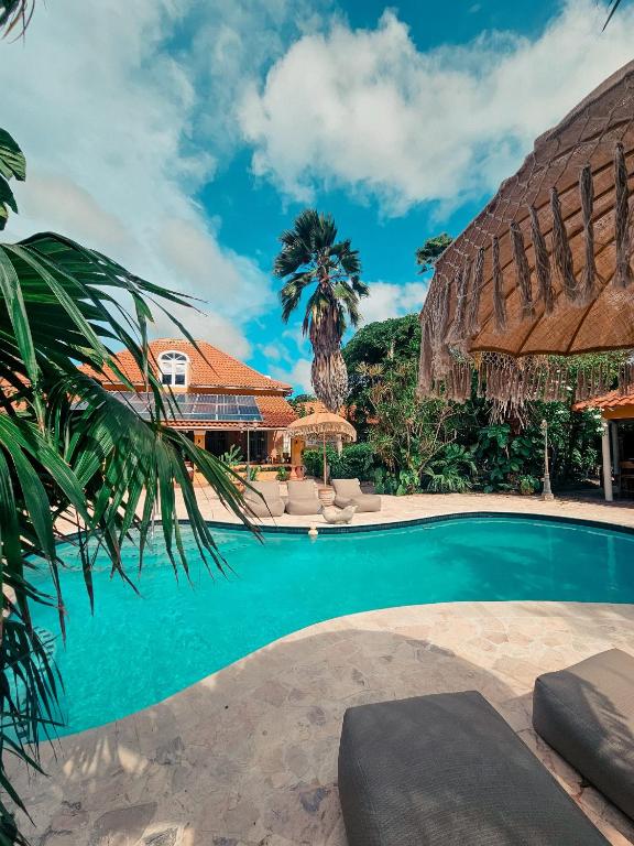 Coconuts Tropical Boutique Hotel Curaçao - Bed and Breakfast Willemstad