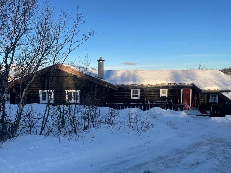 Large, cozy, and spacious cabin in Geilo - Ferienwohnung Geilo