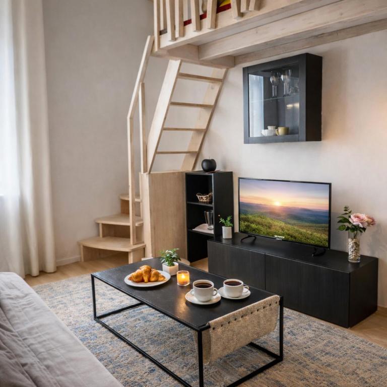 Giedres Old Town Apartments - B&B Kaunas