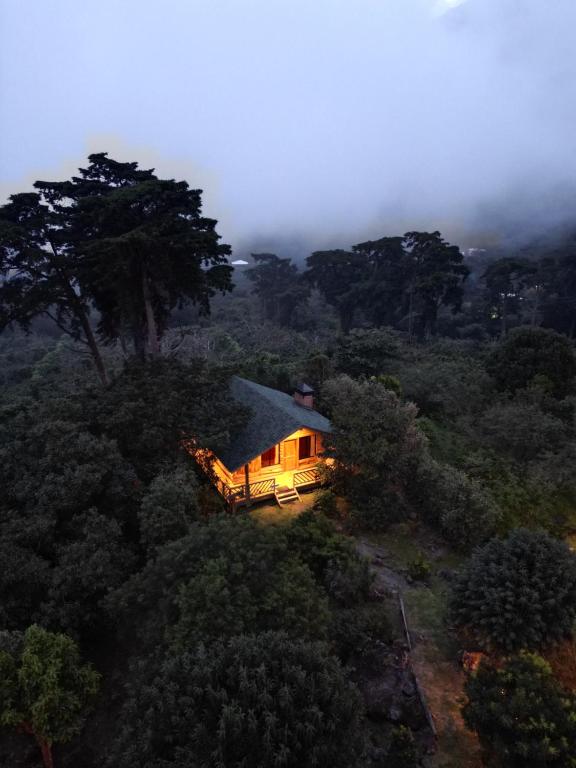 Entrecafe Experience- Los Naranjos - B&B Ojo de Agua