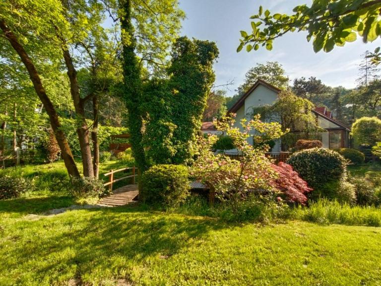 Dom pod lesom v Borinke - B&B Stupava