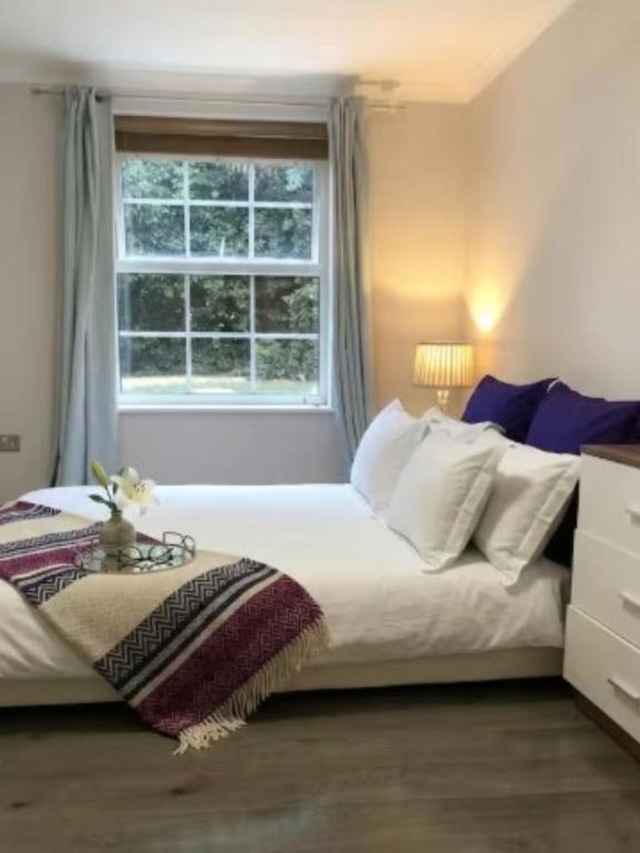 Modern Cosy York City Apartment with Free Parking - B&B York