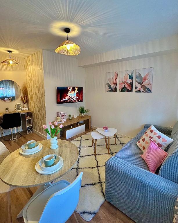 Charmant Studio, T2 ou T3 au coeur de la ville - Bed and Breakfast Clermont-Ferrand
